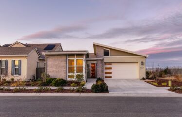 Nature-Friendly Family Houses